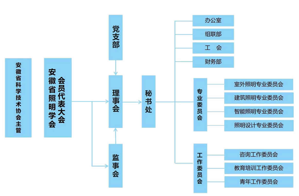 安徽照明学会组织架构_01.jpg